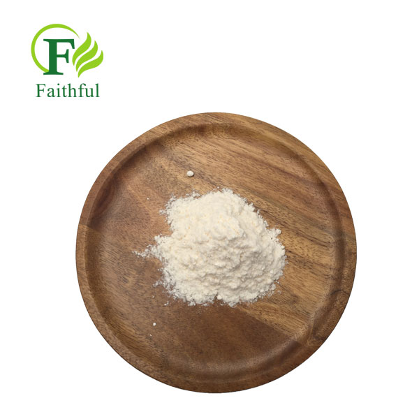How can Forskolin Powder, a natural cAMP activator, become a core active pharmaceutical ingredient for multiple systemic diseases due to its unique diterpenoid structure?